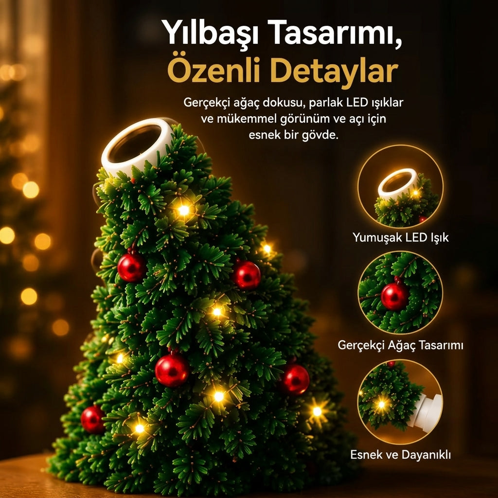 Noel Ağacı + Balkabağı İkili Avantaj Paketi